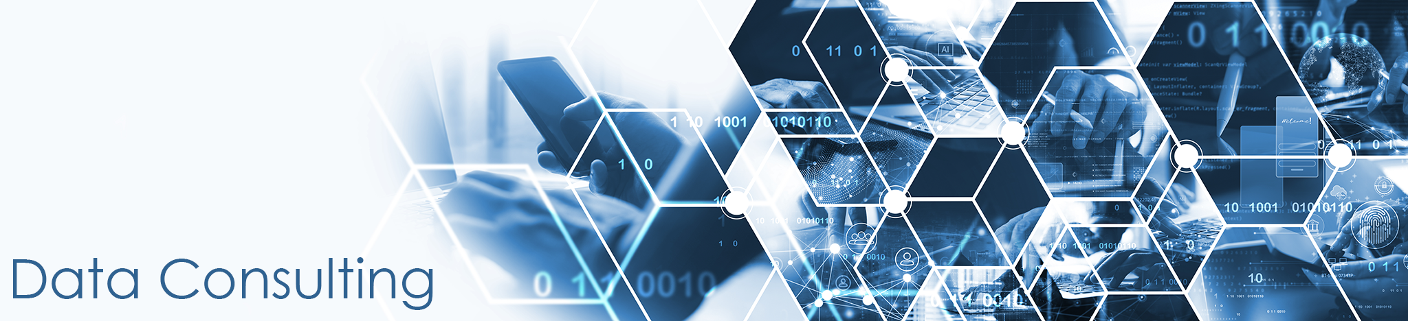 Data Consulting